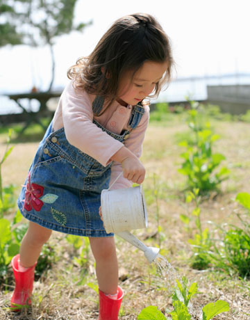 Image: Growing Up Green