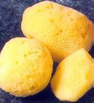 Image: Natural Sea-Silk Sponge | Sea Pearls Natural Sea Sponge Tampons | Eco-Friendly Menstrual Sponge