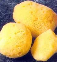 Natural Sea-Silk Sponges